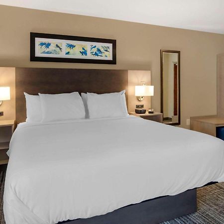 The Inn At Leonardtown, Ascend Hotel Collection Dış mekan fotoğraf